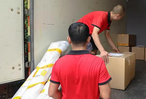 פ���곤;���